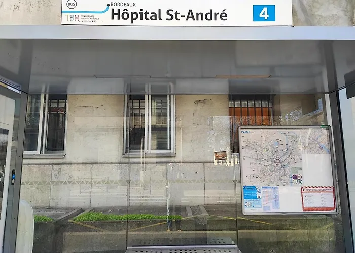 Duplex-terrasse-parking Gratuit-climatisation Appartamento Bordeaux