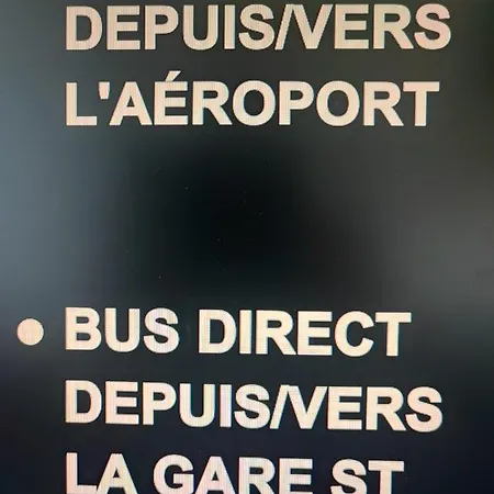 Duplex-terrasse-parking-climatisation 波尔多